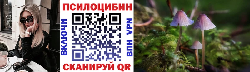 Псилоцибиновые грибы мицелий  наркота  Кимры 